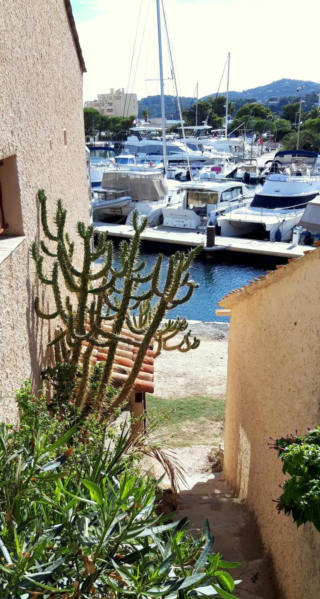 T2 Terrasse, Bormes Les Mimosas La Faviere, 5 Pers, 5 Mn A Pieds Des Plages Et Commerces Buitenkant foto