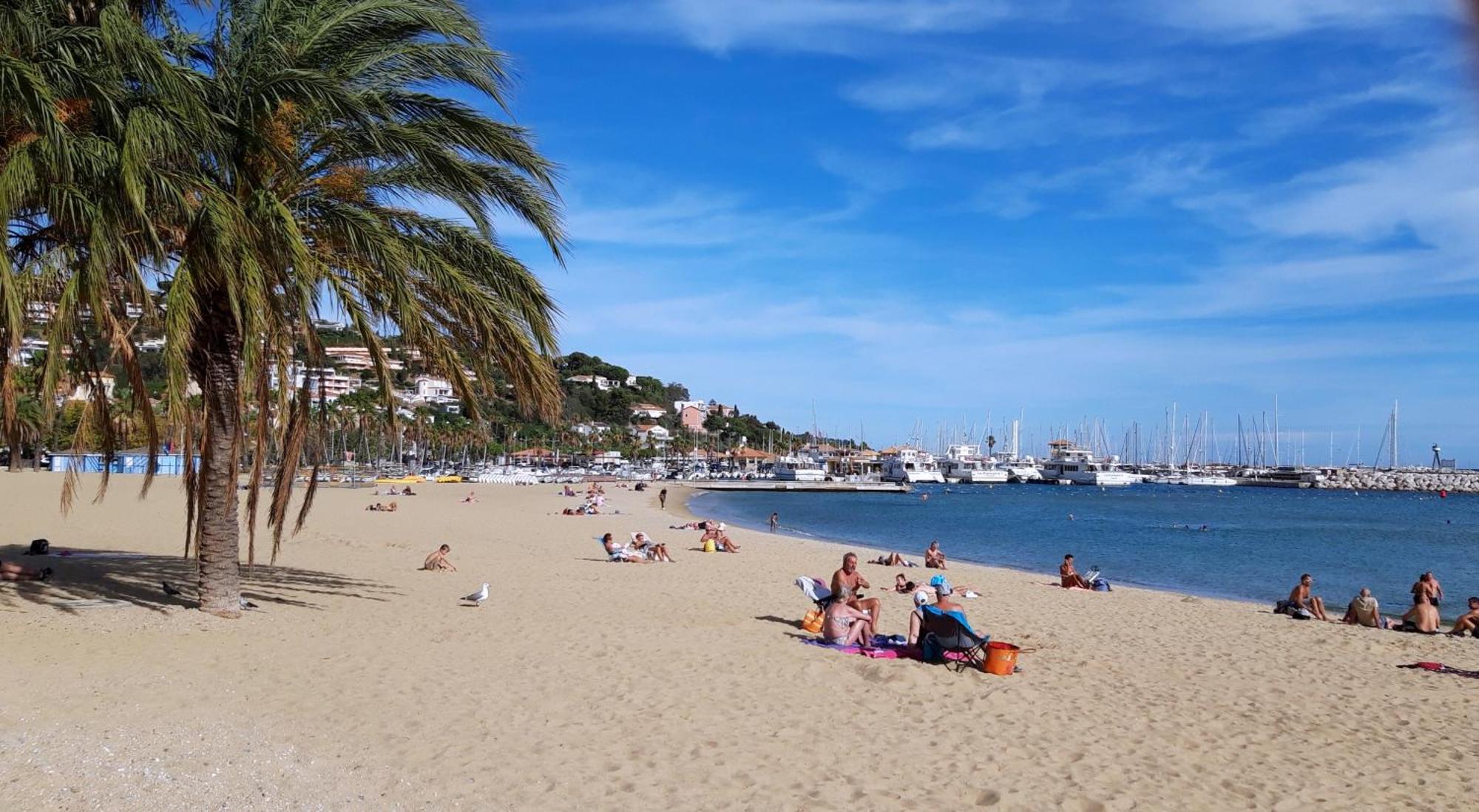 T2 Terrasse, Bormes Les Mimosas La Faviere, 5 Pers, 5 Mn A Pieds Des Plages Et Commerces Buitenkant foto